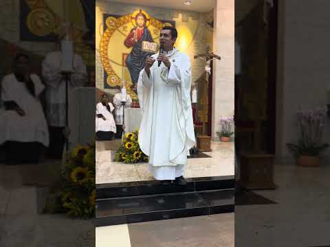 Imaculada Conceição de Maria #nossasenhora #imaculadaconceicao #catolico #rioverdegoias