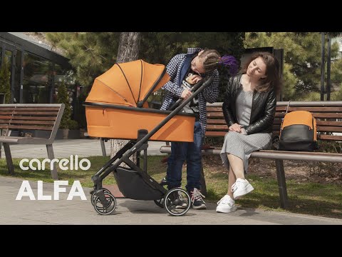 Коляска универсальная Carrello Alfa/W 2 в 1 Graphite Grey (CRL-6507 Graphite Grey)