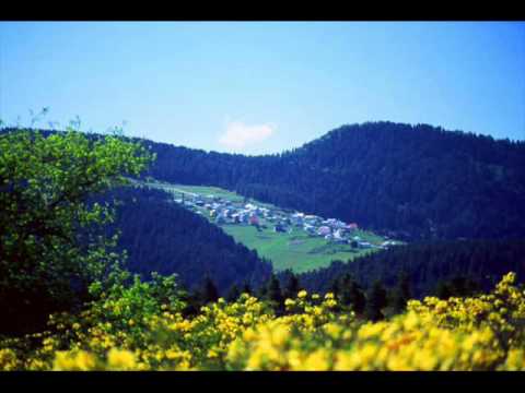 Gemiler Giresun'a - Karmate turkulersesimiz.tk