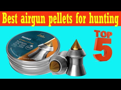 Top 5 Best Airgun Pellets For Hunting 2020
