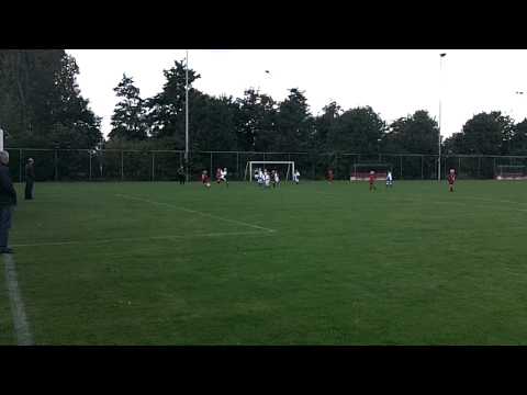 Wippolder F12: fragmenten uit Maasdijk F3- Wippolder F12