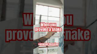 Richard Stow and the snake provocateurs. #snakes #snake #venomous #animallovers