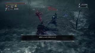 bloodborne ゆったり侵入
