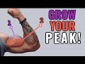 3 best exercises to build Biceps peak, #sachinyadav #wsnwhey #bicepsworkout #biceps #bicepspeak
