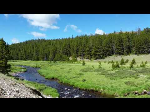 The river & meadow a 10 minute walk from camp.