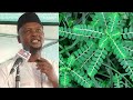Amfanin Geron Tsintsaye Sheikh Abdulwahab Gwani Bauchi