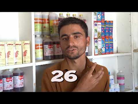 Livelihood Employment & Enterprise Development