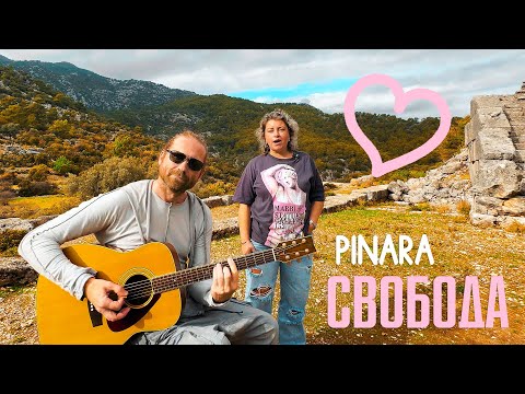 ЛАКМУС - СВОБОДА (акустика ????️ PINARA)