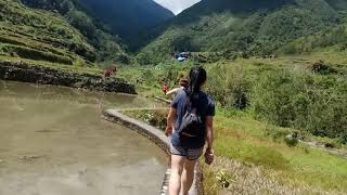 preview picture of video 'Hungduan Province, rice terraces. Philippines'