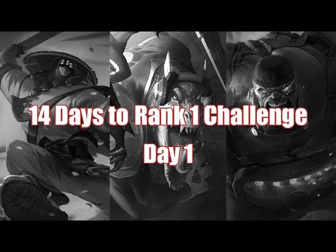 14 Days to Rank 1 Challenge - Day 1