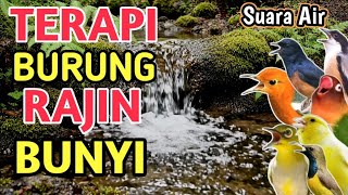 Download lagu SUPER AMPUH‼️ SUARA GEMERICIK AIR BIKIN BURUNG RAJIN BUNYI mp3