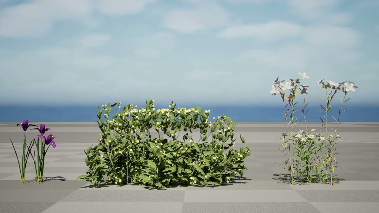 Game Ready Heliotropium Arbainense Desert Flower Set 3D Model