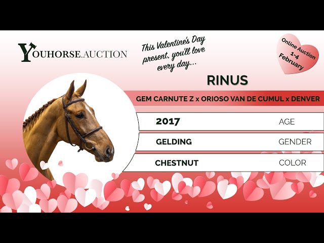Rinus