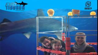 DIA 3 Expo Tiburon206