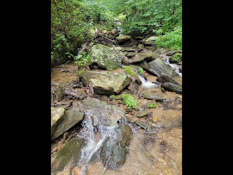 TBD Willis Gap Mountain Rd Fancy Gap VA 24328