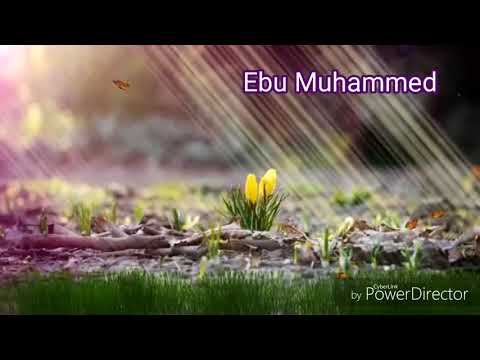 ▪○Islam i dva šehadeta○▪            [Ebu Muhammed]