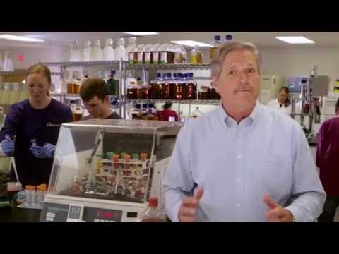 John Hoeven - High Tech Jobs