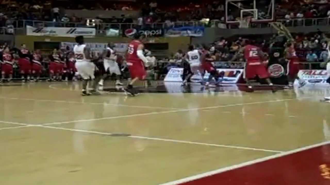 Leones de Ponce - DEMO