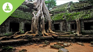 45 min Meditation Music: Zen Buddhist Meditation Music, Chakra Healing.