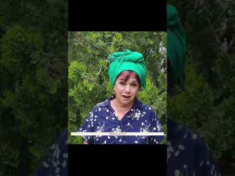 יוספה ג׳ורג׳י – המלצה על התכנית