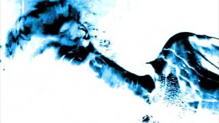 Christian Morgenstern - Steigreider (D. Func Remix)