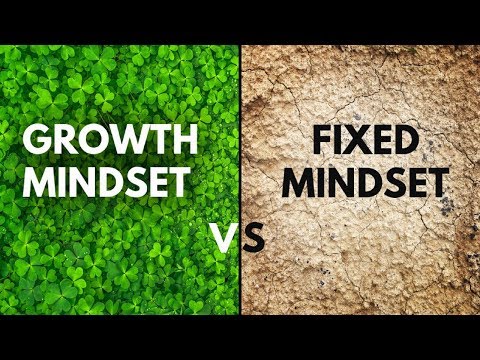 Do You Have A Fixed Mindset? | Growth Vs Fixed Mindset | Carol Dweck