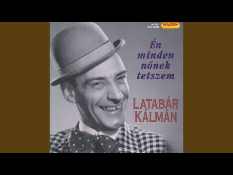 Éjjel a ligetben a Sárgarigófészek címû operettbõl