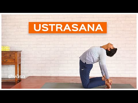 Ustrasana | Camel Pose | How to Do Ustrasana | How to do Camel Pose | Ustrasana Yoga for Beginners