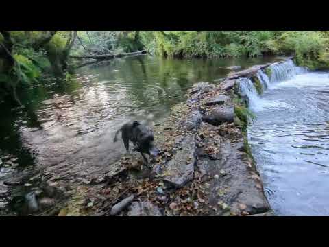 A piece of paradise!