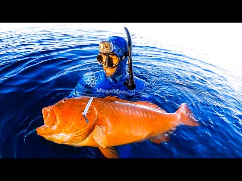 Crazy Afternoon Remote Island Spearfishing With The Boys Boat Trip (Part 3) - Ep 235