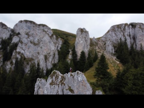 Canionul 7 Scari  si Piatra Mare | Circuit de o zi