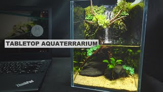 TABLETOP MINI Aquaterrarium with Waterfall No co2
