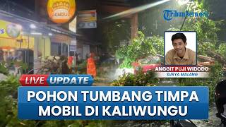 Hujan Angin Robohkan Pohon di Kaliwungu Jombang, Timpa Mobil Melintas Berpenumpang 5 Orang