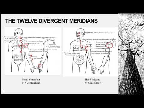 Introduction to Acupuncture part 2