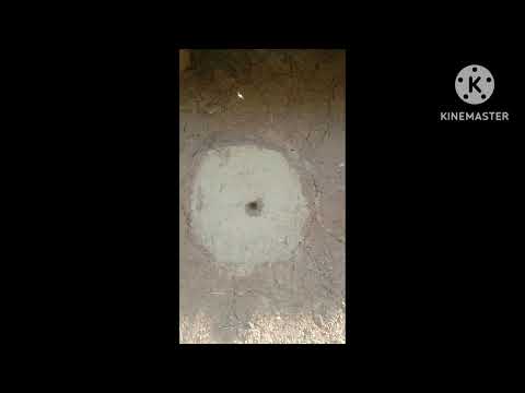 Houses of honey bees(Ahad & Ahmar).