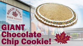 GIANT Chocolate Chip Cookie at the Shady Maple Farm Market