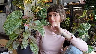 the plants I'm most excited about this spring 🌞🌿