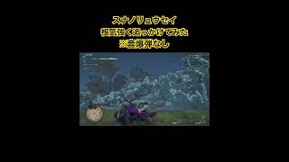 スナノリュウセイ追っかけてみた #モンハンワイルズ #MHWilds #PS5 #ps5pro