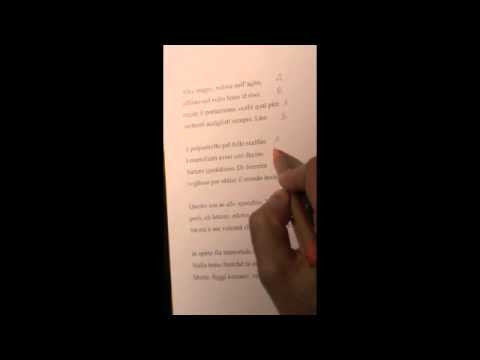 video frame placeholder