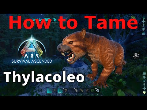 Ark Survival Ascended Thylacoleo, How to tame Thylacoleo, Ark Best way to tame thylacoleo