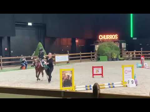 Bixie at the Dutch Masters