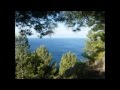 Run away with me - Omar Akram.