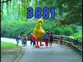 Sesame Street Papa Bear Can T Play With Baby Bear