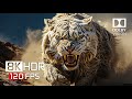 THE WRATH OF NATURE 8K HDR VIDEO ULTRA HD 120FPS - DOLBY VISION