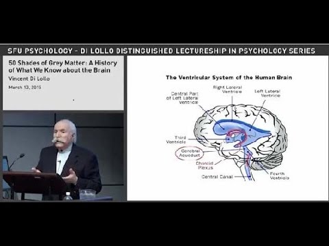 50 Shades of Grey Matter: A History of What We Know about the Brain