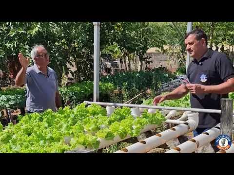 Assista ao vídeo