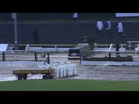 Sharpys Rocket - BGBF British Bred Dual Distance Stakes Heat 3