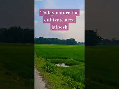 Nature love jalpesh area@viral reels