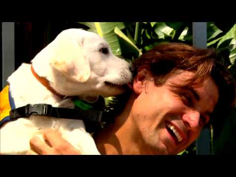 A Bit of Animal Magic