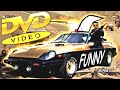 TOP 5 FUNNY CARS Wmv